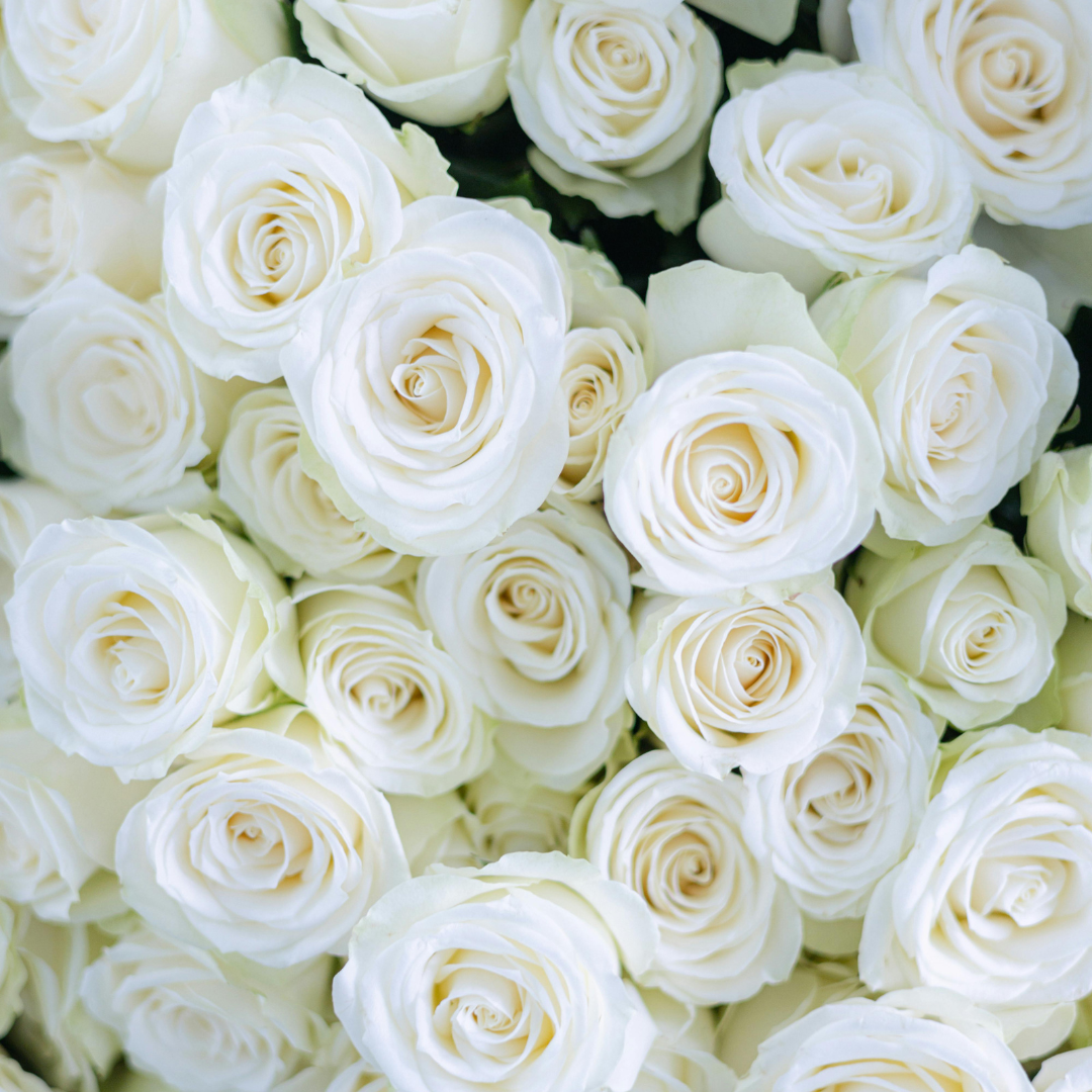 Antwerp Luxury candle supplies – Großhandel Duftöl – Weißer Moschus Duftöl3