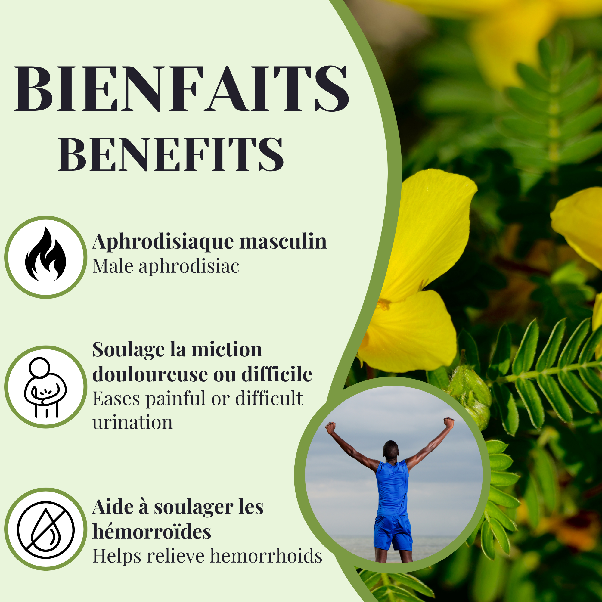 REMOVED BRAND - Wholesale Oral Supplement/Vitamin - Tribulus Terrestris | 90 Caps1