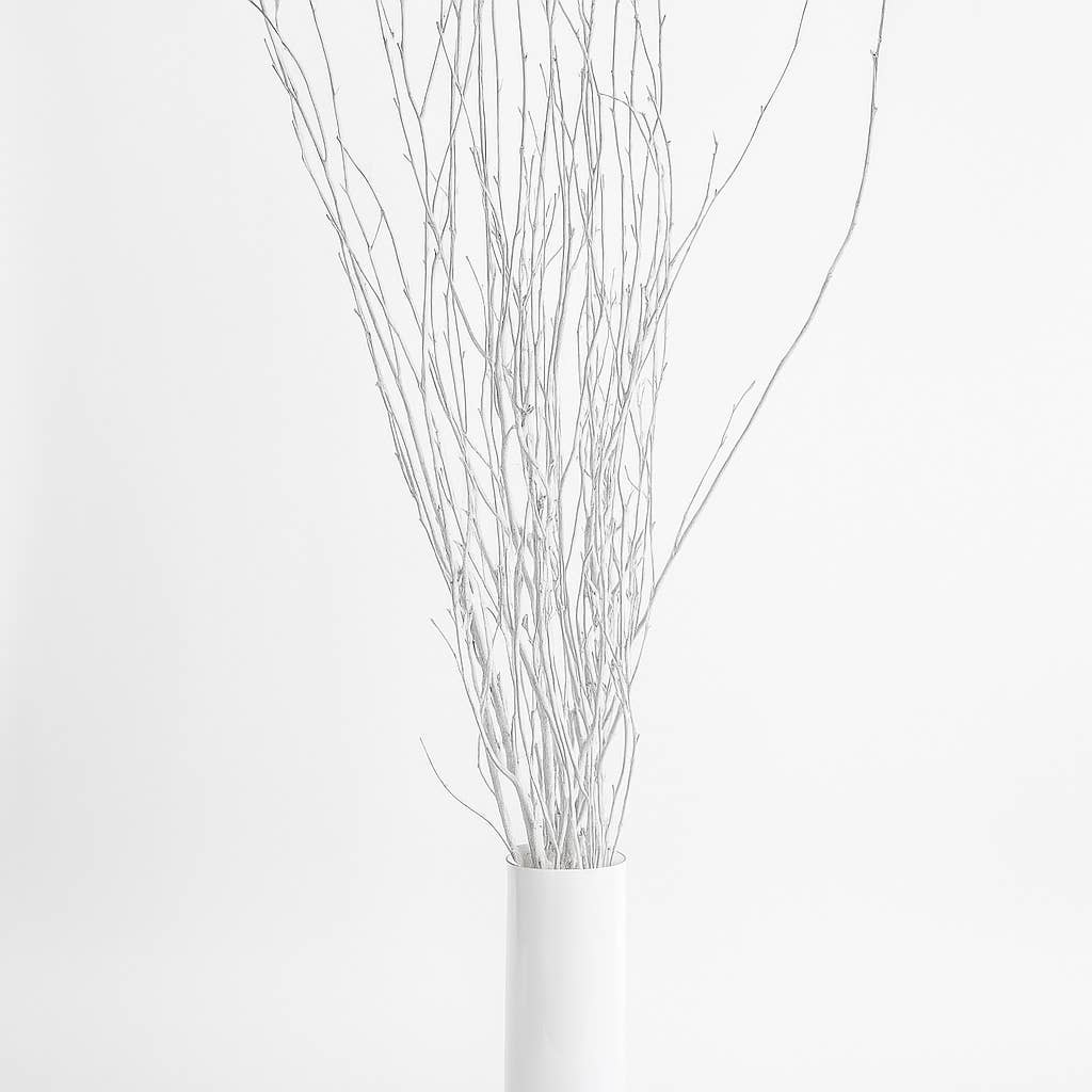 GS Foliage - Vendita all'ingrosso Fiori secchi/pressati - Rami di Betulla Verniciati Bianchi da 4 Piedi - Confezione da 10 Pezzi
