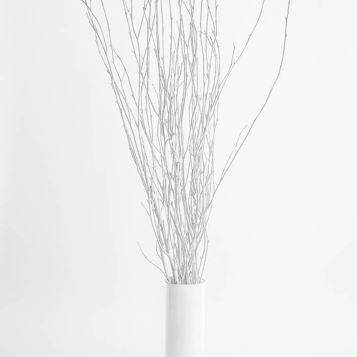 Paquet de 10 branches de bouleau peintes en blanc de 4 pieds pour la vente par GS Foliage