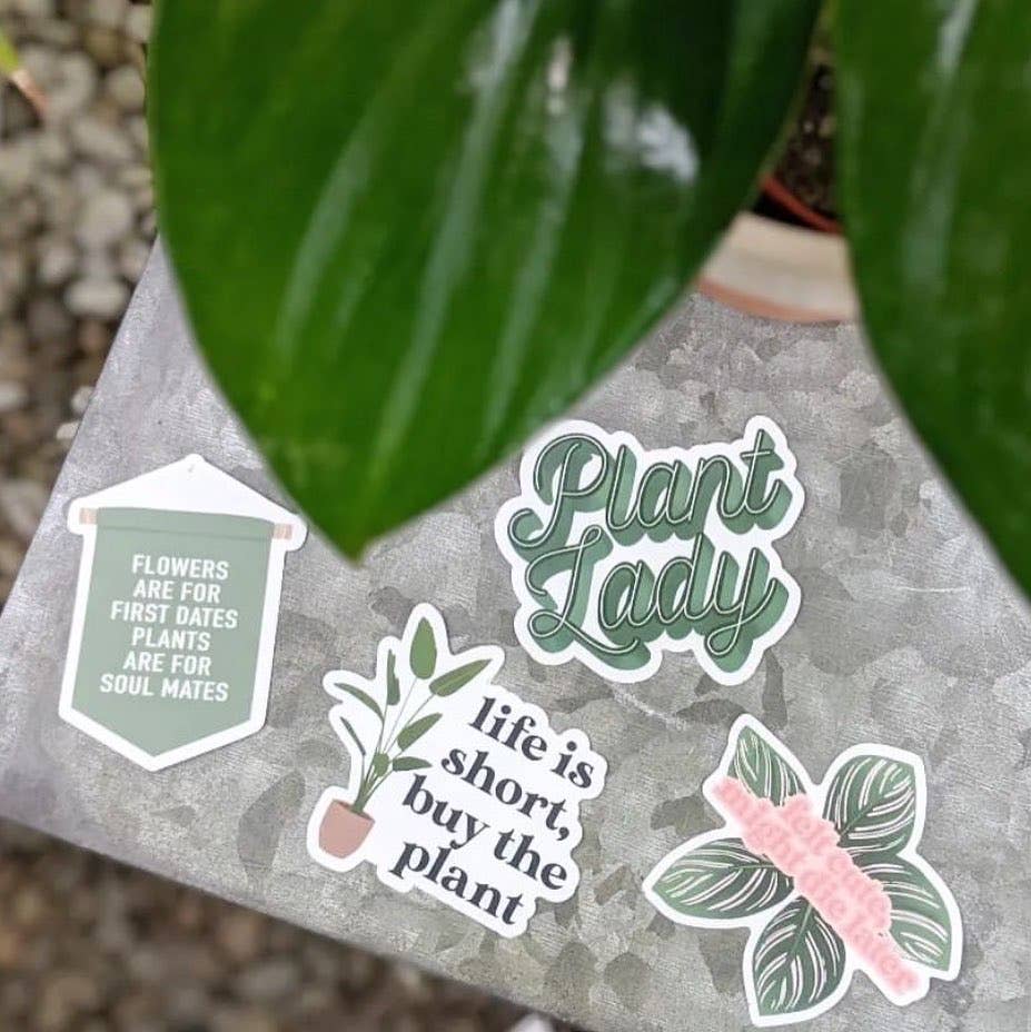 Clay Collection Co. - Vente Autocollant - Sticker Les plantes sont pour les âmes sœurs9