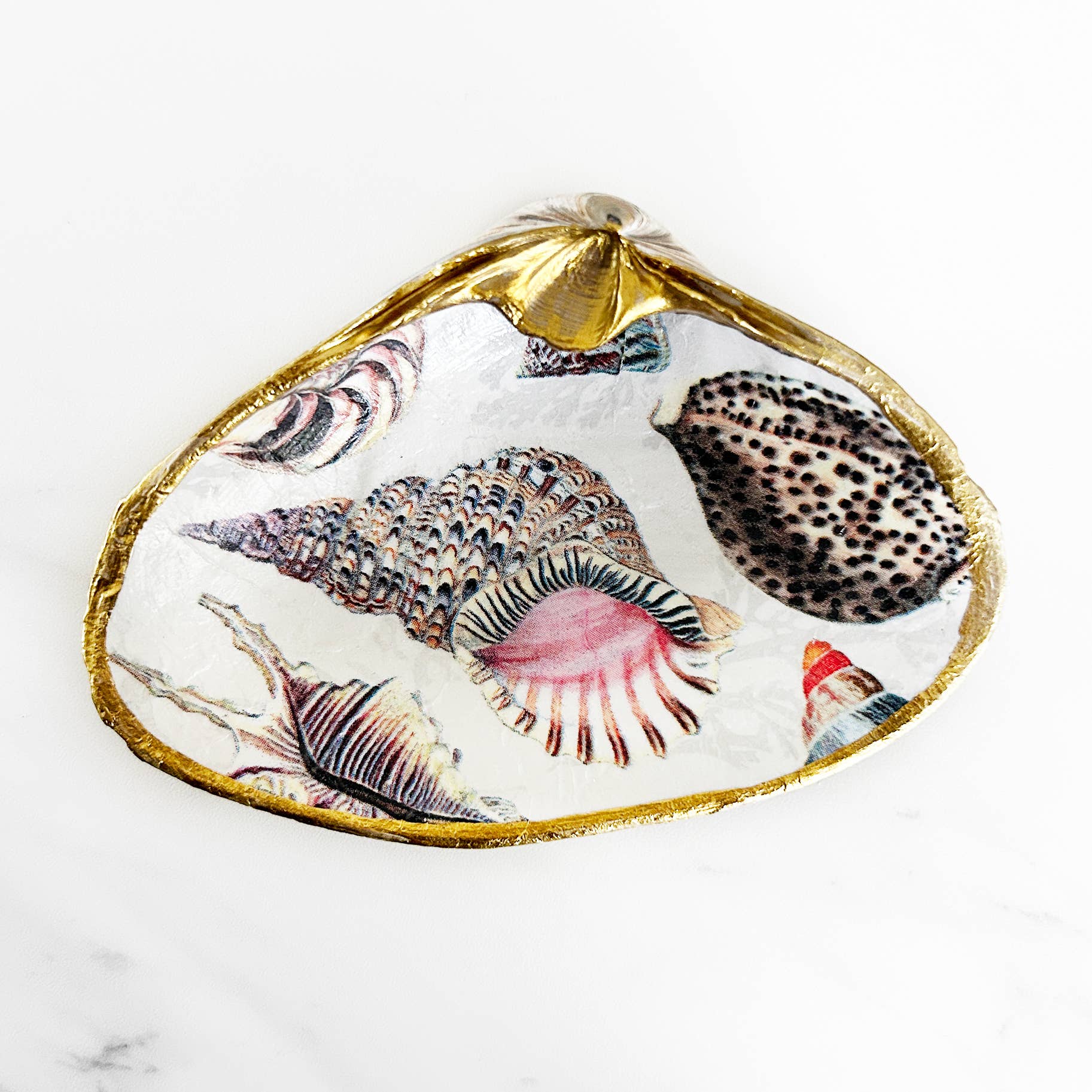 Adori Designs - Wholesale Jewelry Dish - Seashell Collage Decoupage Clam Shell Trinket Dish 0