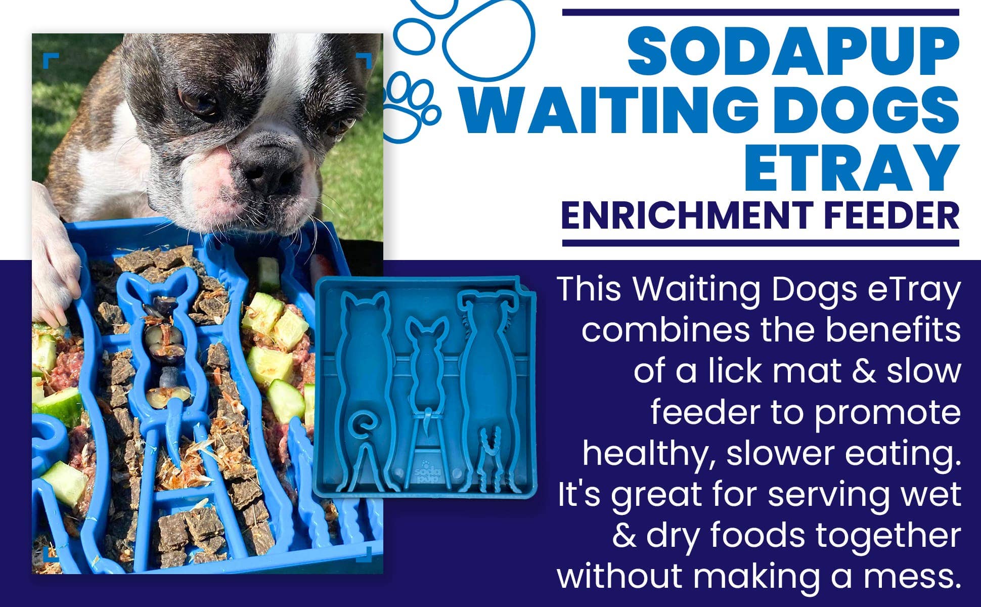 SodaPup Dog Toys - Wholesale Pet Food Mat - Dog - Waiting Dogs Design eTray Enrichment Tray for Dogs6