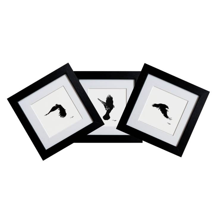 Original Art Mini Charcoal Pencil Jackdaw Drawings Framed for wholesale by Drawing In Dark