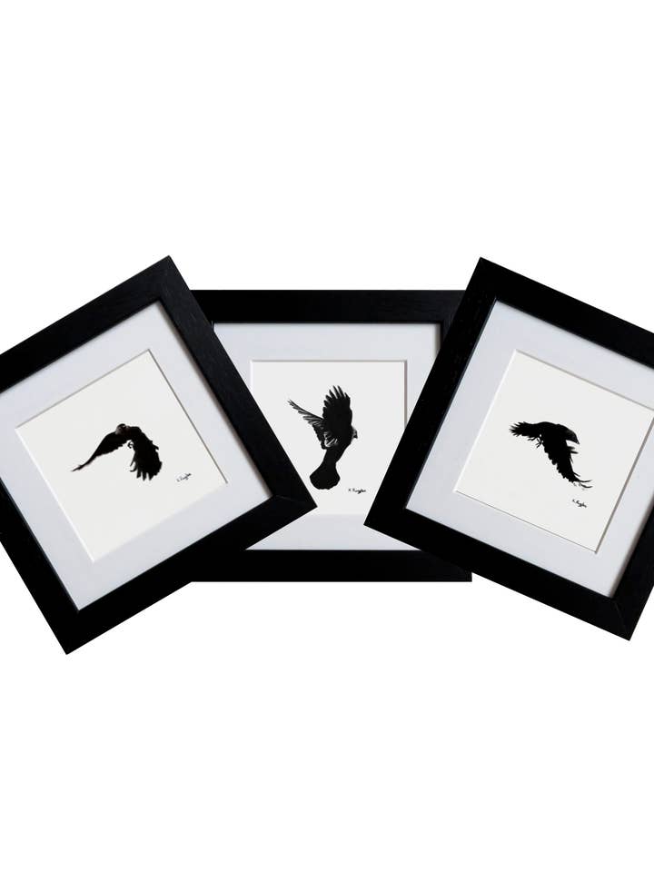 Original Art Mini Charcoal Pencil Jackdaw Drawings Framed for wholesale by Drawing In Dark