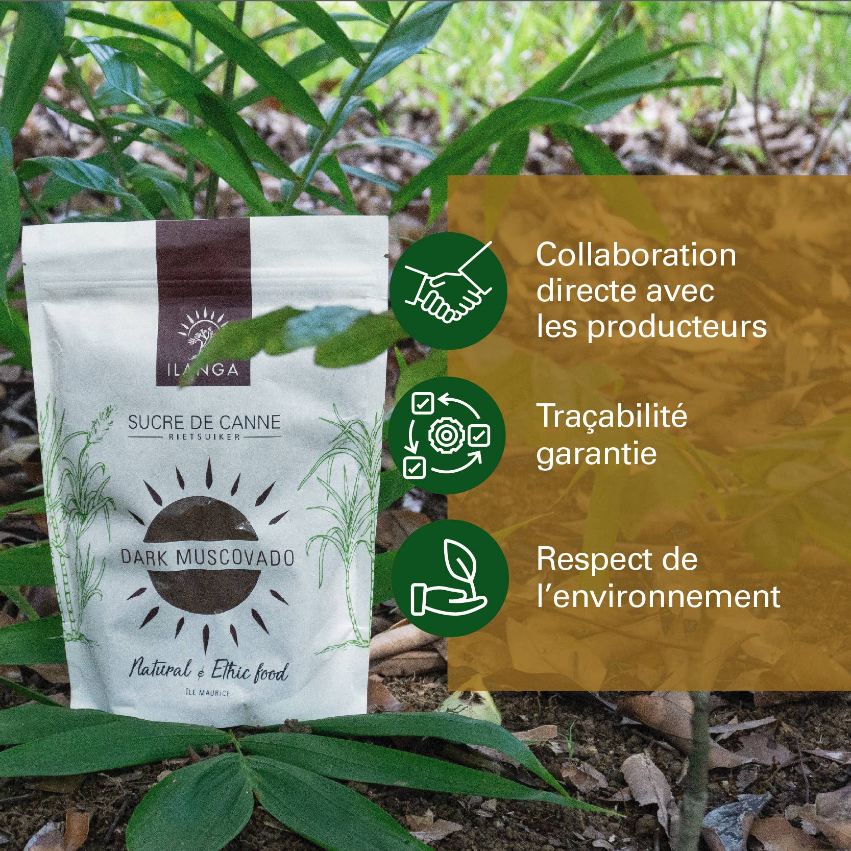 Ilanga Nature – Açúcar por atacado – Açúcar de Cana - Muscovado Escuro 500g8