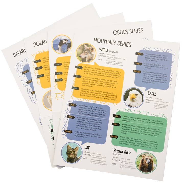 Studiostone Creative - Wholesale DIY Craft Kit - Kids - NEW! Polar Bear Alabaster carving kit.