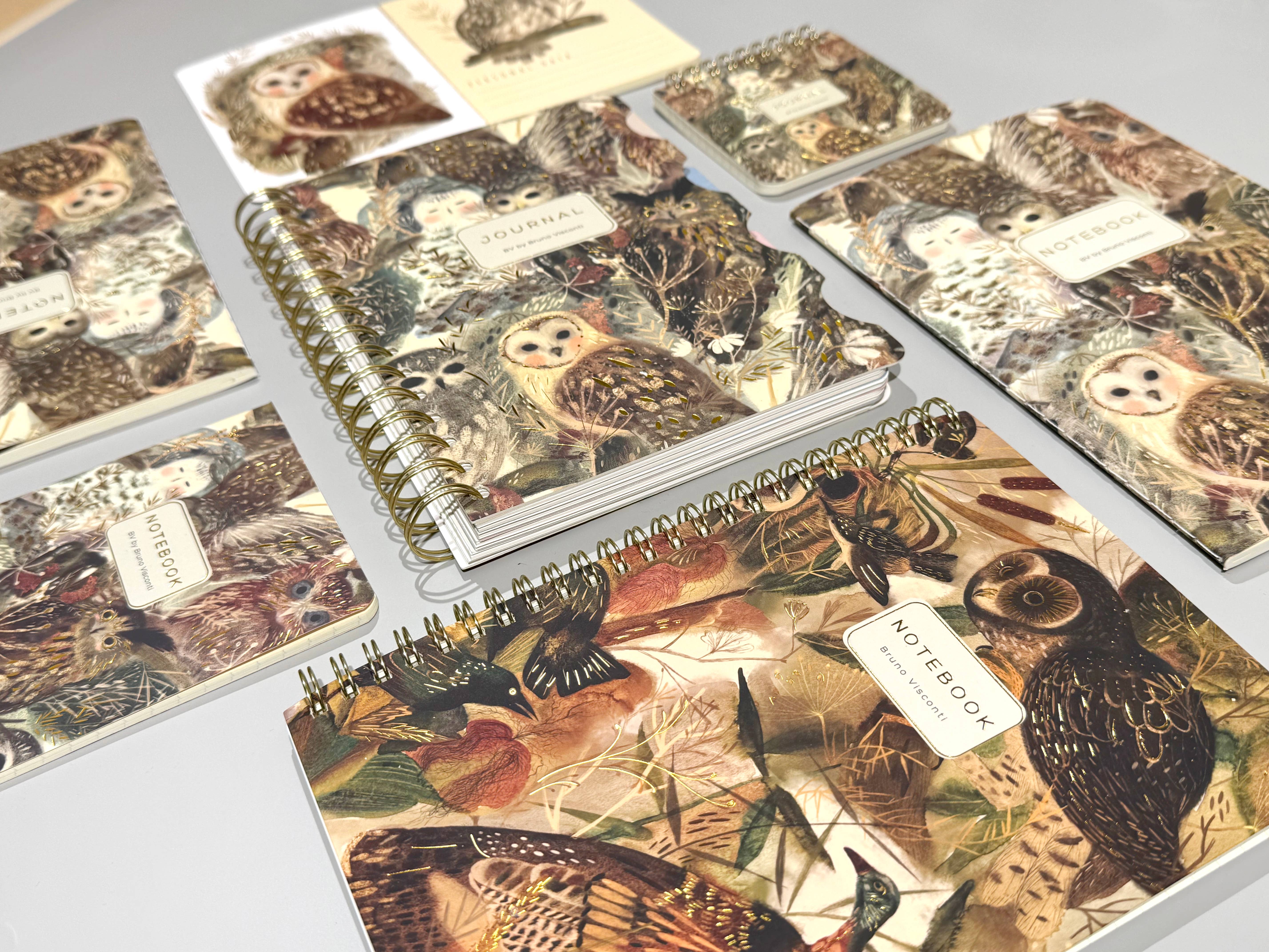 BV by Bruno Visconti - Wholesale Notebook - Owls Notebook21
