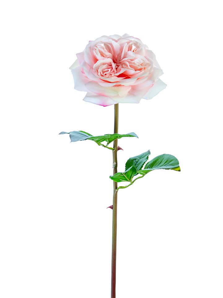 American Best - Wholesale Artificial Flowers - 24" REAL TOUCH GARDEN ROSE STEM2