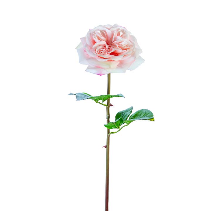 American Best - Wholesale Artificial Flowers - 24" REAL TOUCH GARDEN ROSE STEM2