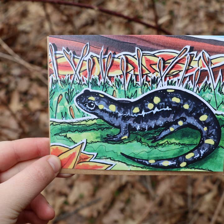 Yellow Spotted Salamander Greeting Card for wholesale by Gnome Studio