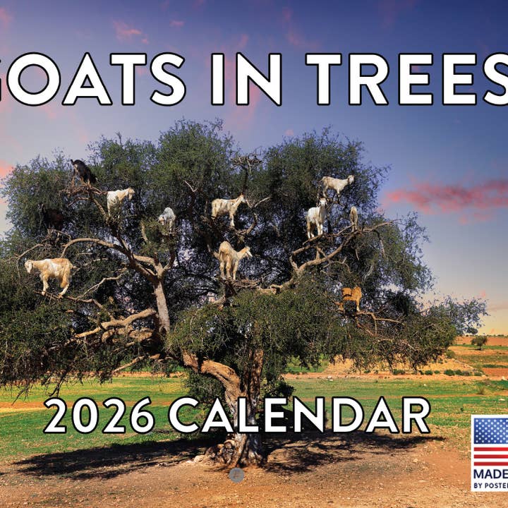 Multi Color Goats In Trees Calendar 2026 for wholesale on Faire
