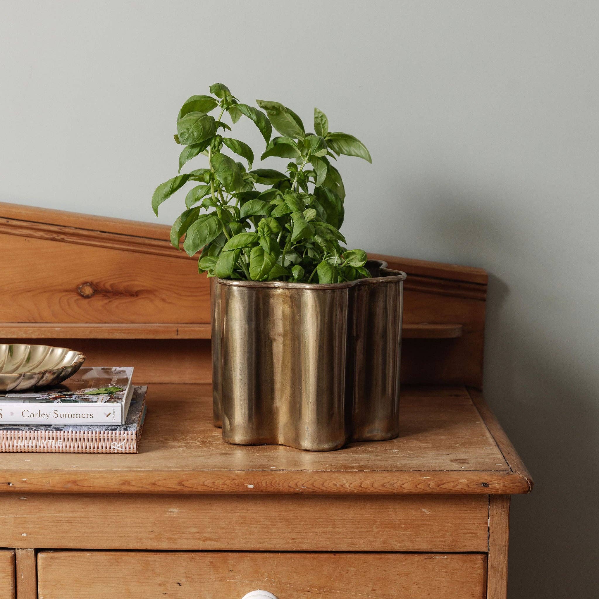 Hastshilp – wholesale Rubbish can/Rubbish bin – Poppy Rattan Waste Paper Bin (Small)3