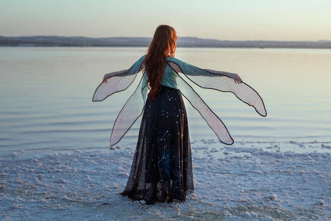 Costurero Real - Wholesale Costume - Women's - Dragonfly Fairy Wings Purple Pink Blue Butterfly costume2