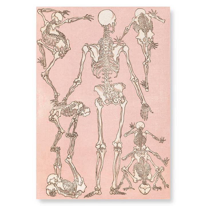 Ezen Trade - Wholesale Art Print - STUDY OF SKELETONS BACK (1881): Japanese Art Print