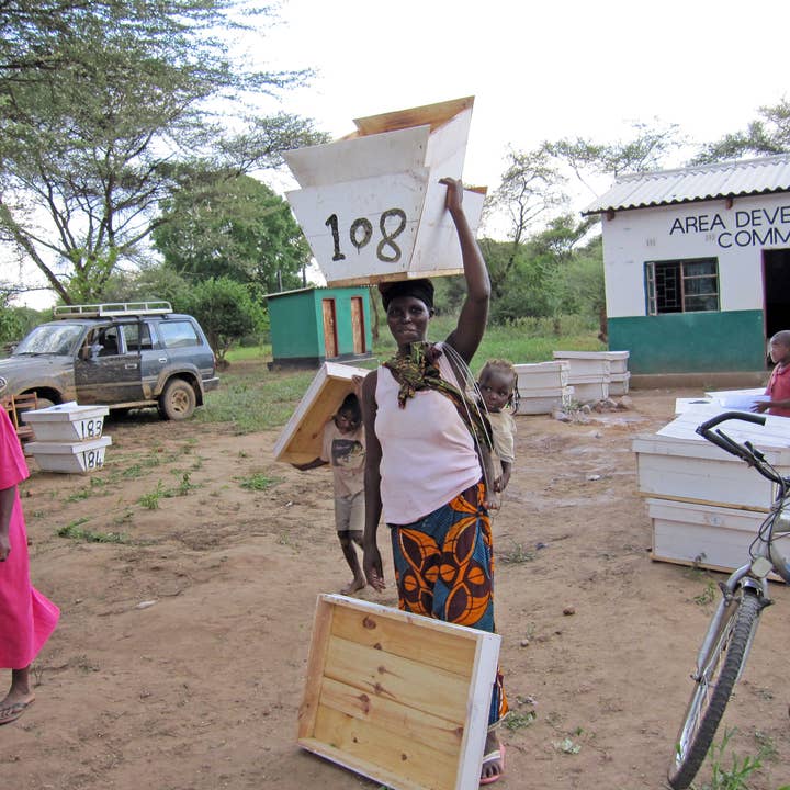 African Bronze Honey Company - Wholesale Honey - Organic Wild Honeydew Forest Honey3