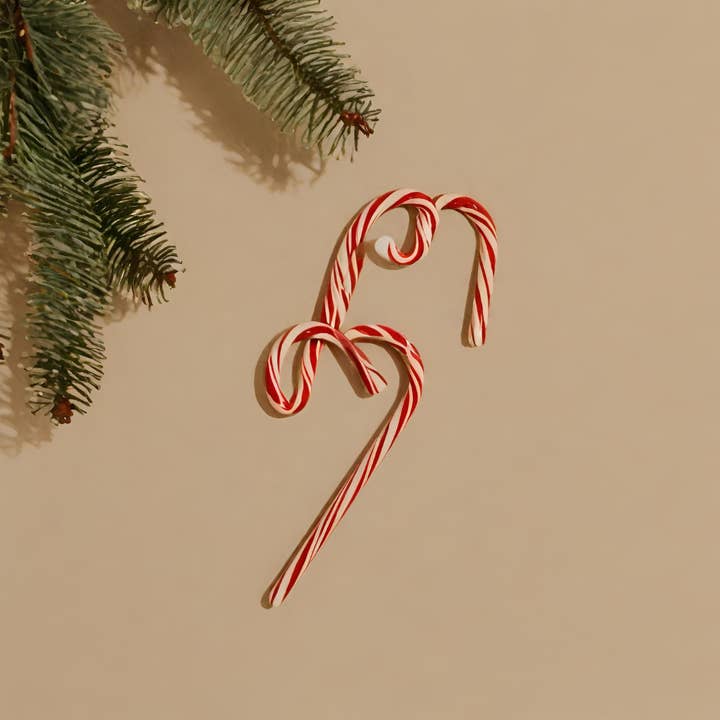 Barley sugar for wholesale by Note Suave