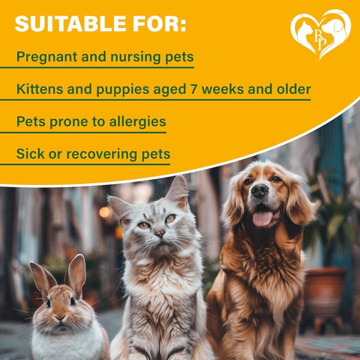 Beloved Pets - Wholesale Pet Spray - Cat/Dog - Natural Flea and Tick Home Spray for Dogs, Cats & Ferret - Mosquito, Bug Repellent & Carpet Flea Killer - Pet Pest Control & House Flea Treatment Indoor - Organic Prevention for Safe5