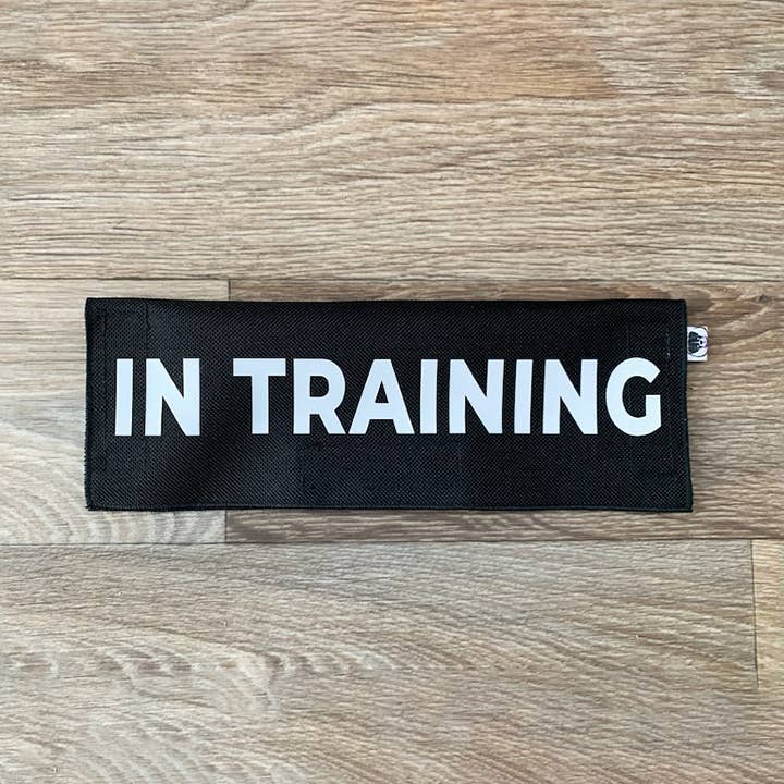 In Training for wholesale by Best Friend Supplies Co