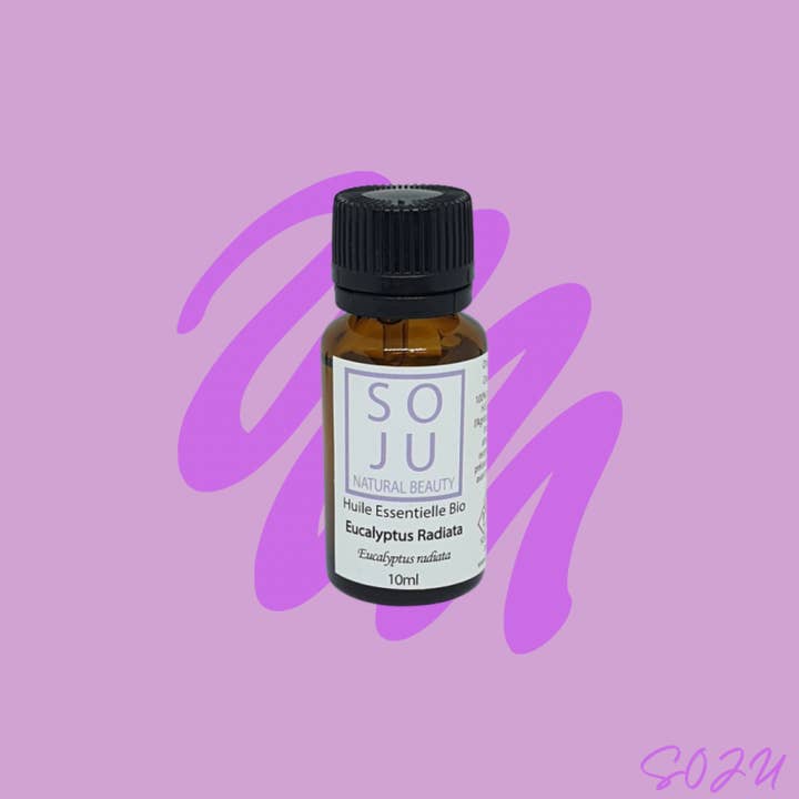 Ätherische Öle - Bio-Eukalyptus für den Großhandel von Groupe SOJU