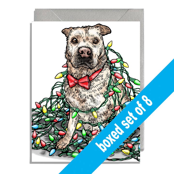 Coffret de Noël, chien et lumières pour la vente par Daniel Joseph Durkin Illustrations