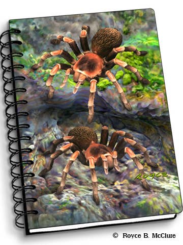 Tarantulas 3D Notebook - 4" x 6" for wholesale by Artgame Ltd.