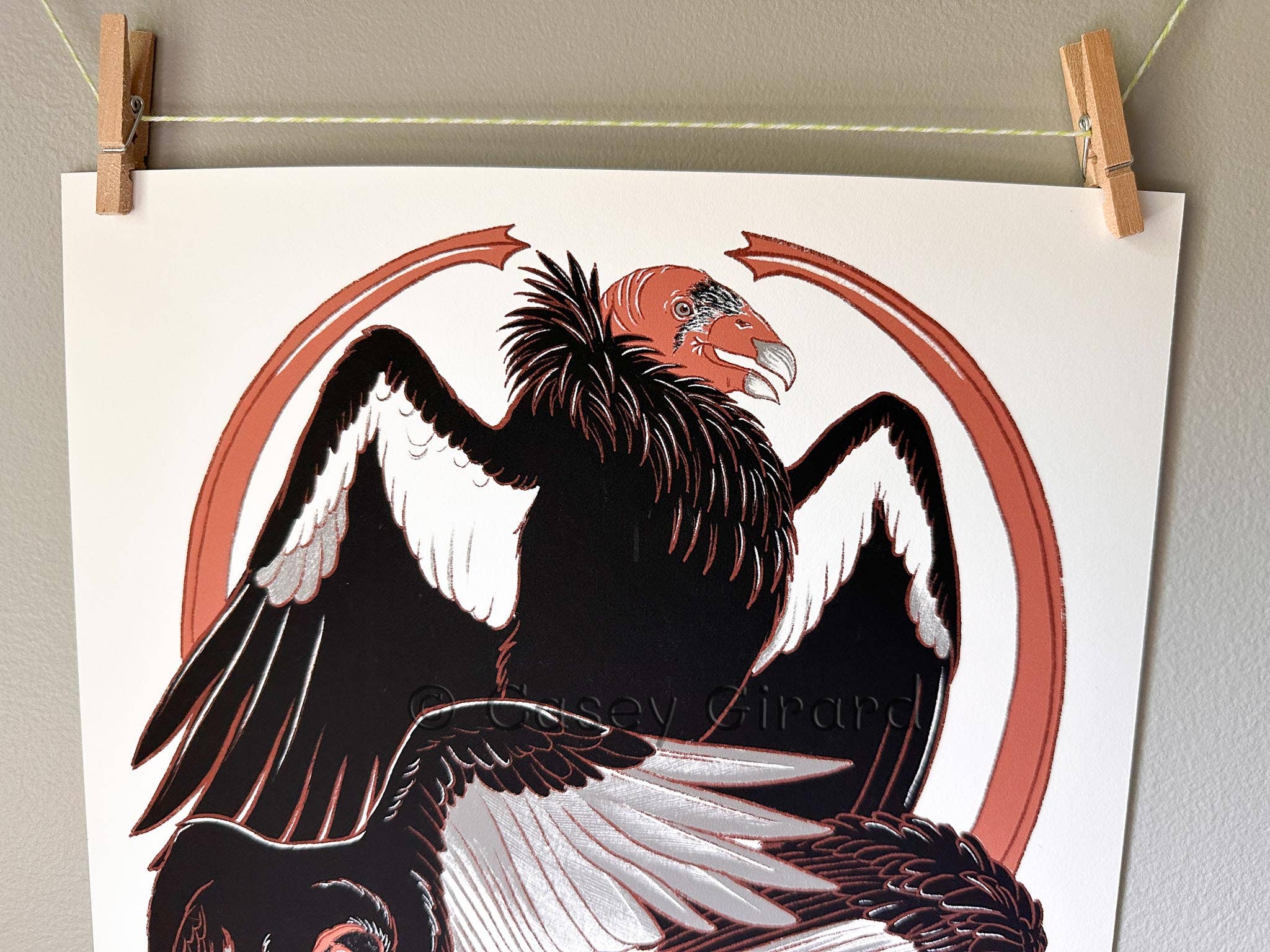 River Thrush Studio - Wholesale Poster - family Cathartidae - Vulture Poster 1