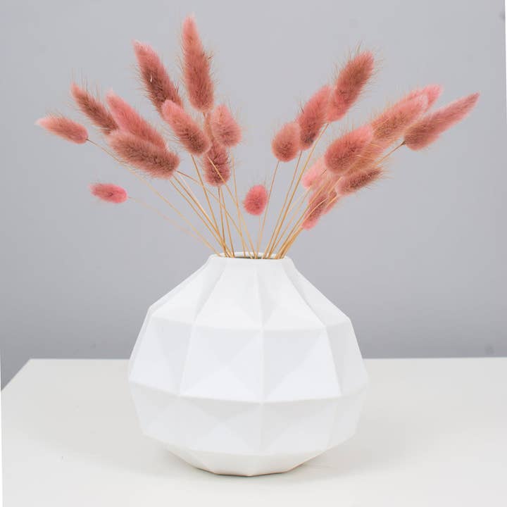 pampas studio uk – wholesale Dried/pressed flowers – Bunny Tails Raspberry