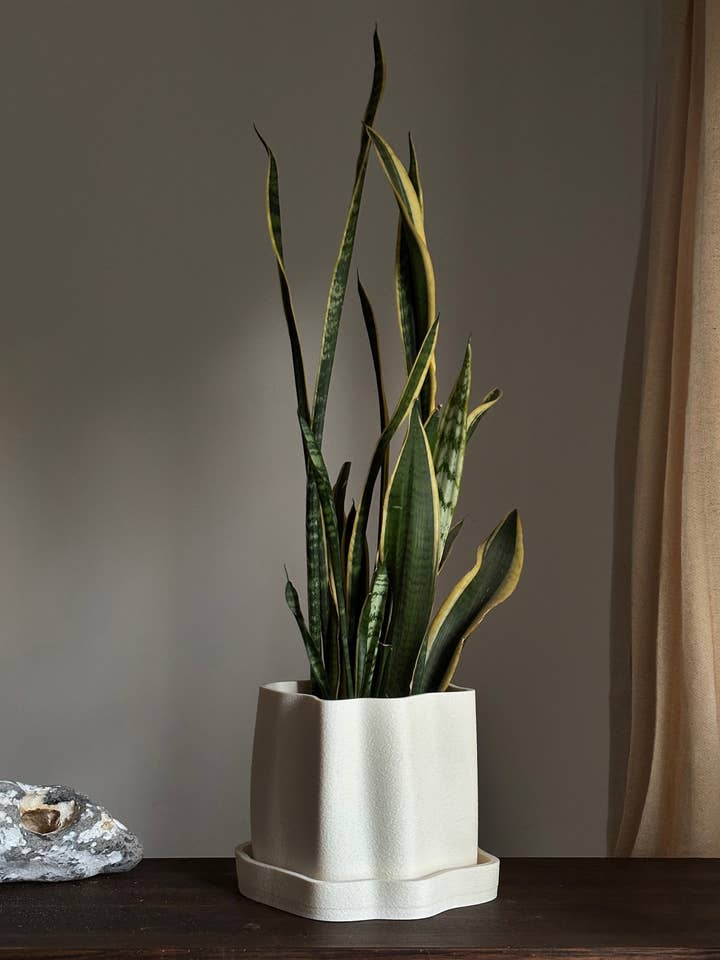 Amanitas Garden | Plant Pot 01 | Sandstone for wholesale by Amanita Labs