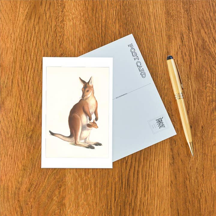 Found Image Press - Wholesale Postcard - Postcard AN-704 Kangaroo and Joey1