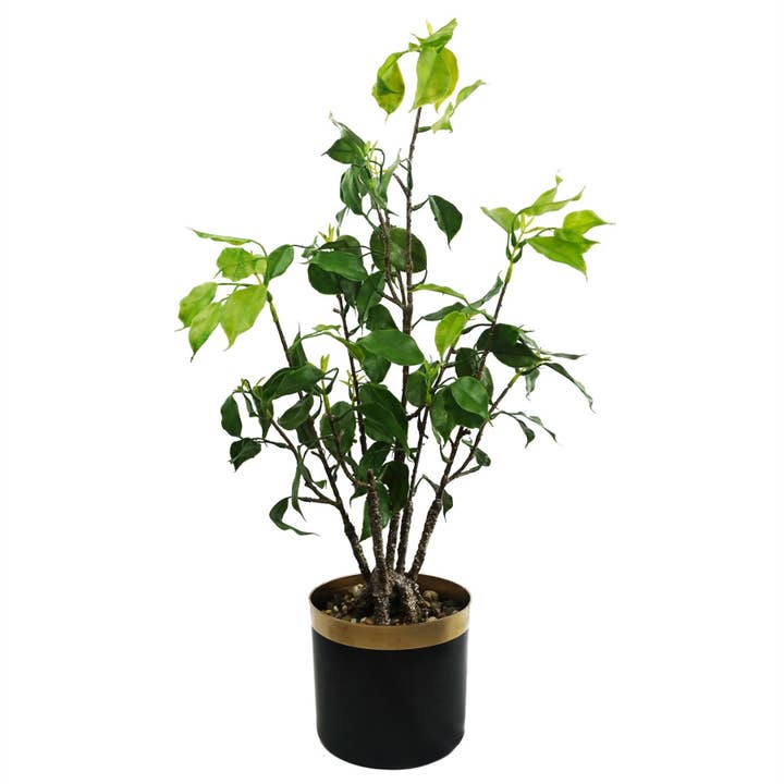 Leaf Design 60cm Artificial Banyan Bonsai Ficus Tree for wholesale by Leaf Design UK LTD