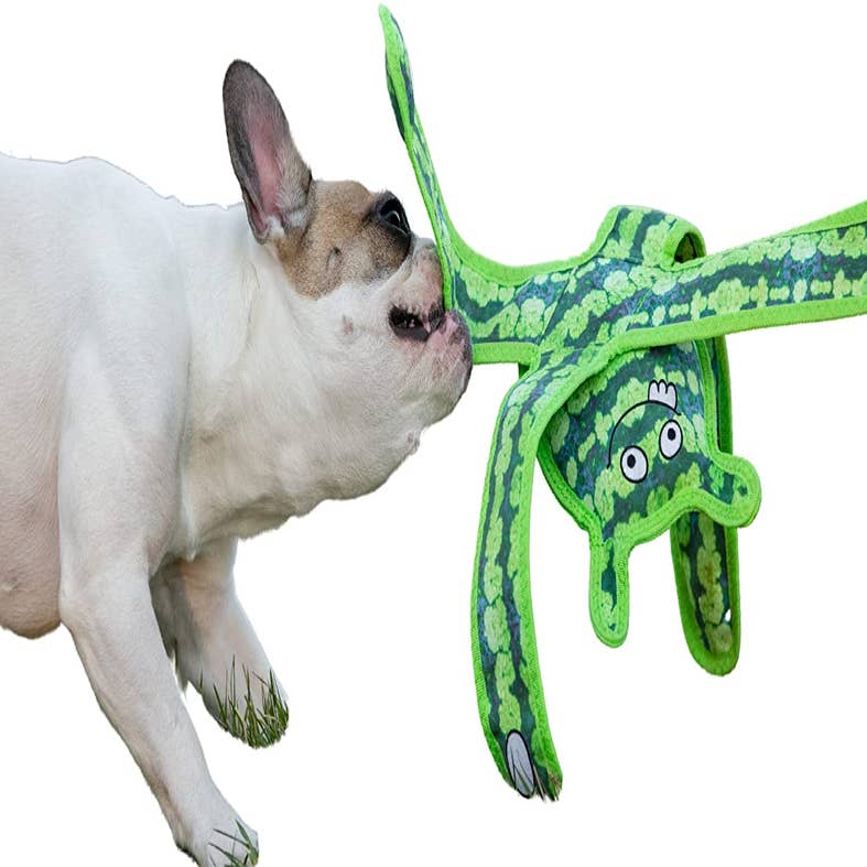 Nandog Pet Gear - Hiding Veggies Interactive Dog Toy