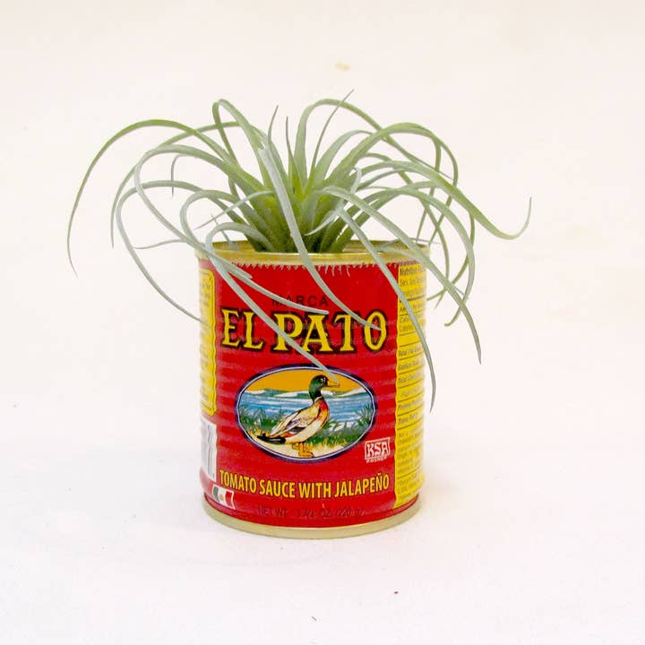 All Little Cute Things - Wholesale Vase - Fiesta Decorations. Centerpieces, Flower Vases Table Setting