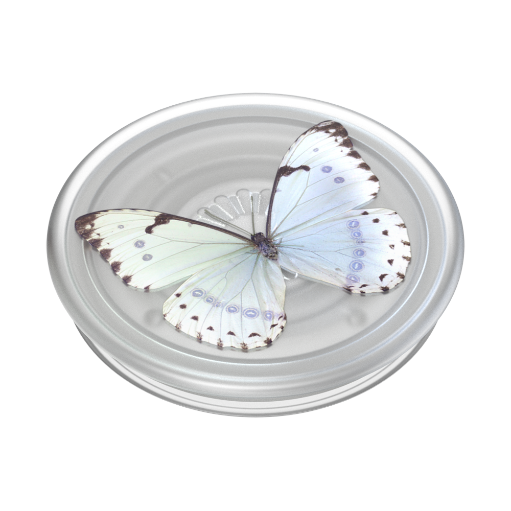 PopSockets - Wholesale Phone Grip - PopSockets Plant - Based Phone Grip - Whisper Moth1
