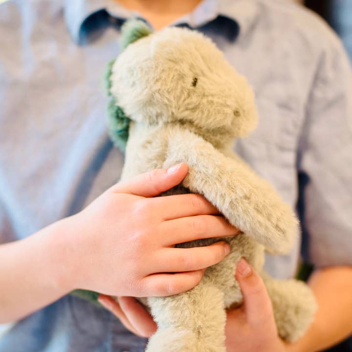 Firefly Delights LLC - Wholesale Stuffed/Plush Toy - Kids & Baby - Dinosaur Plush Lovey