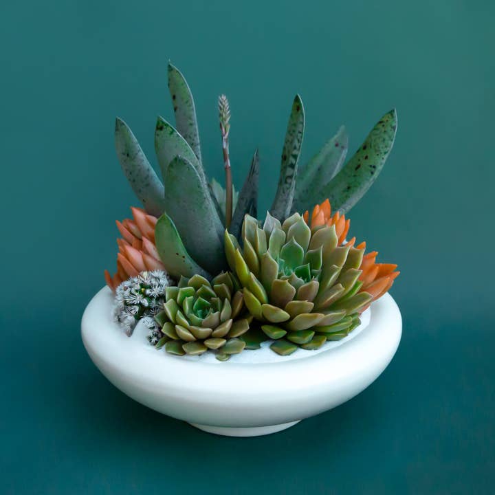 Birdie Bowl | Vintage White for wholesale by Jungle Club