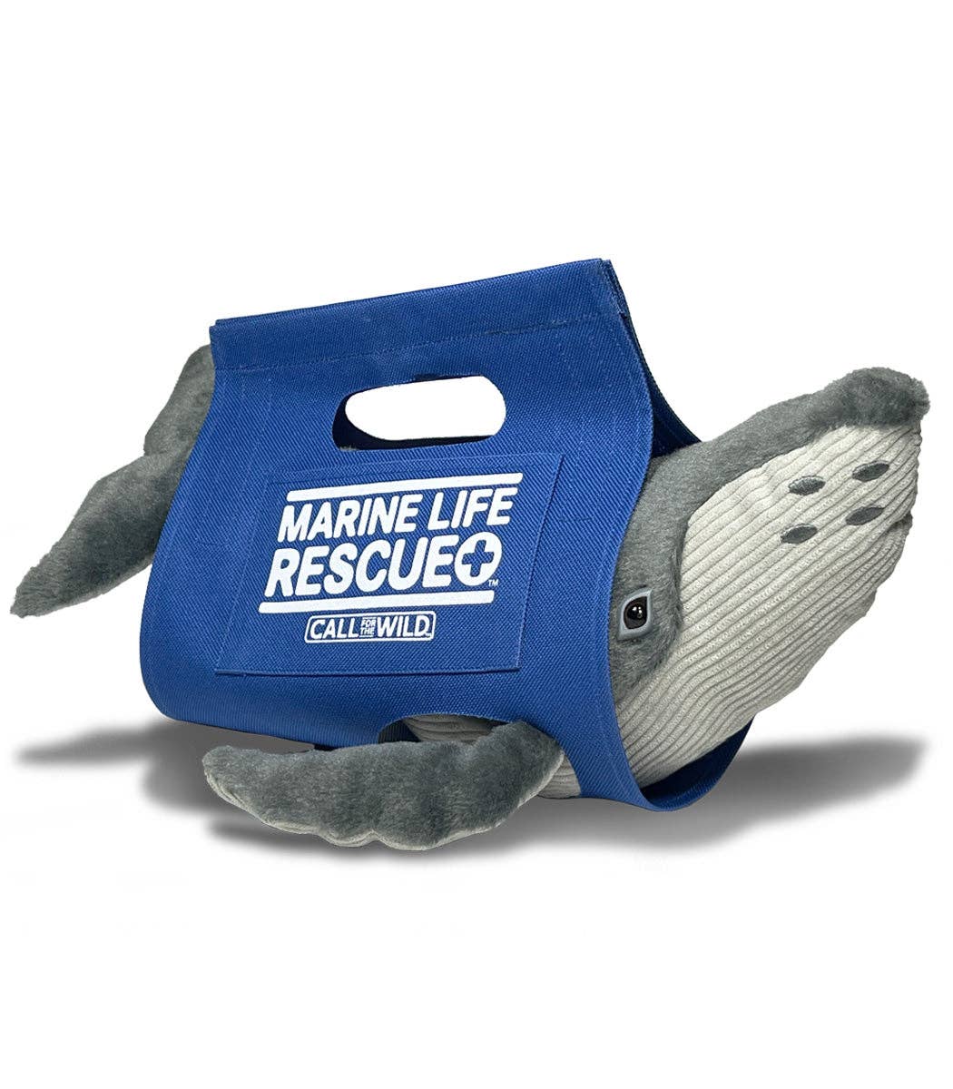 Call For The Wild - Wholesale Stuffed/Plush Toy - Kids & Baby - Rescue Humpback Whale2