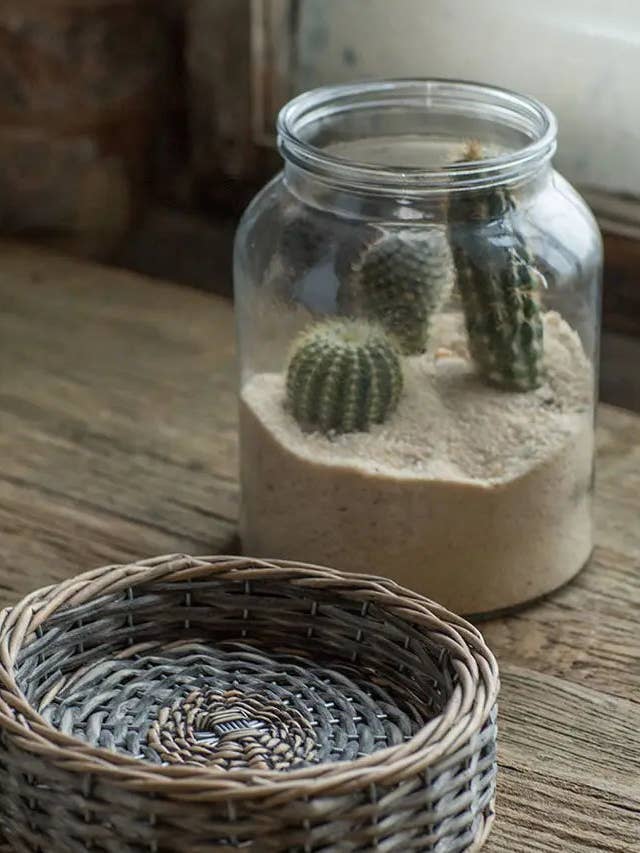 Glass and Wicker Terrarium - Cylinder for wholesale by Vagabond Vintage