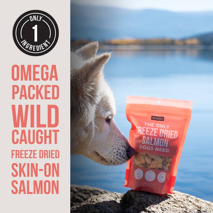 Natural Rapport - Wholesale Pet Treats - Dog - The Only Freeze Dried Salmon Dogs Need