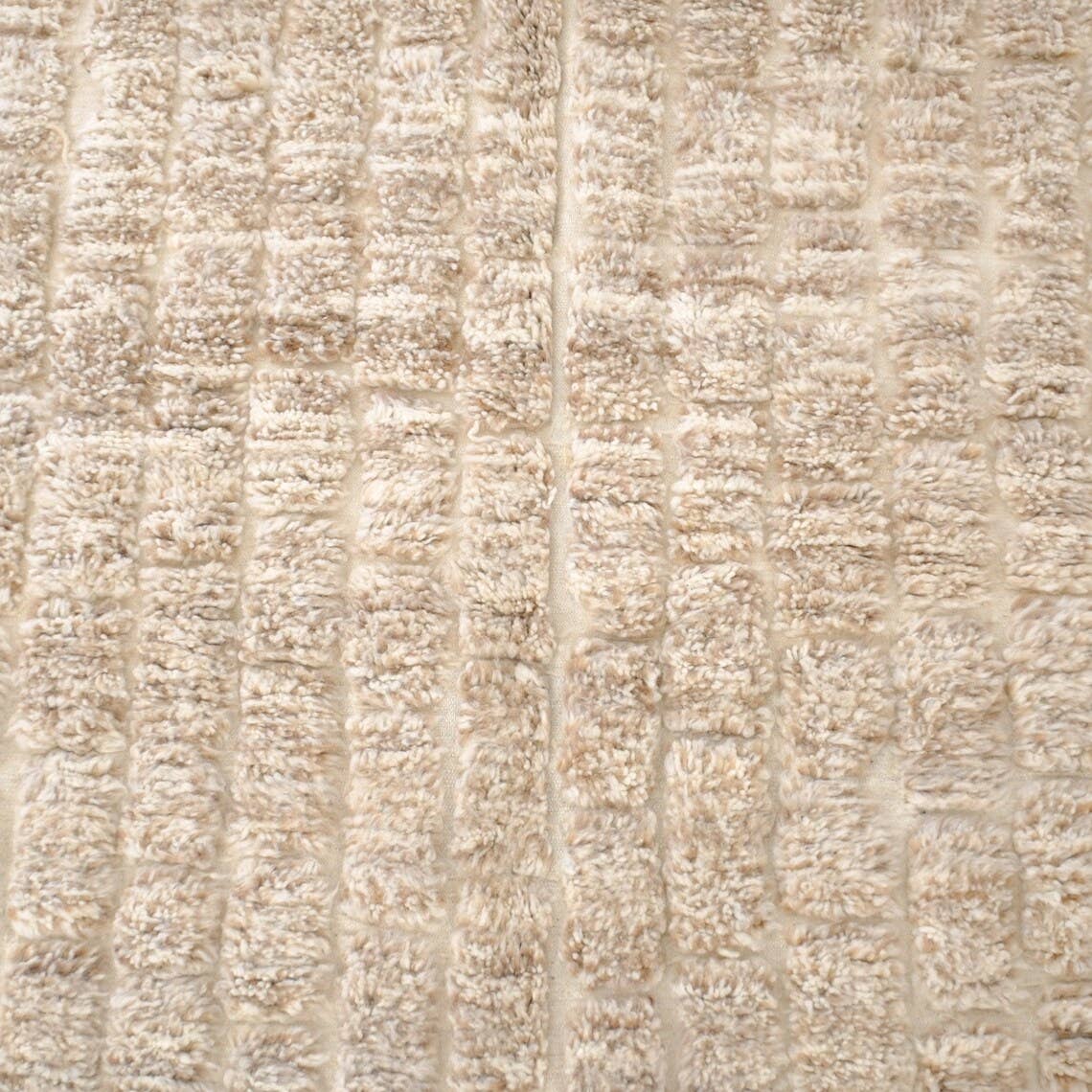 Moroccan Woven Treasures – wholesale Area rug – Beige Moroccan Rug, Beige Shag rug, Berber rug,9x12 area rug6