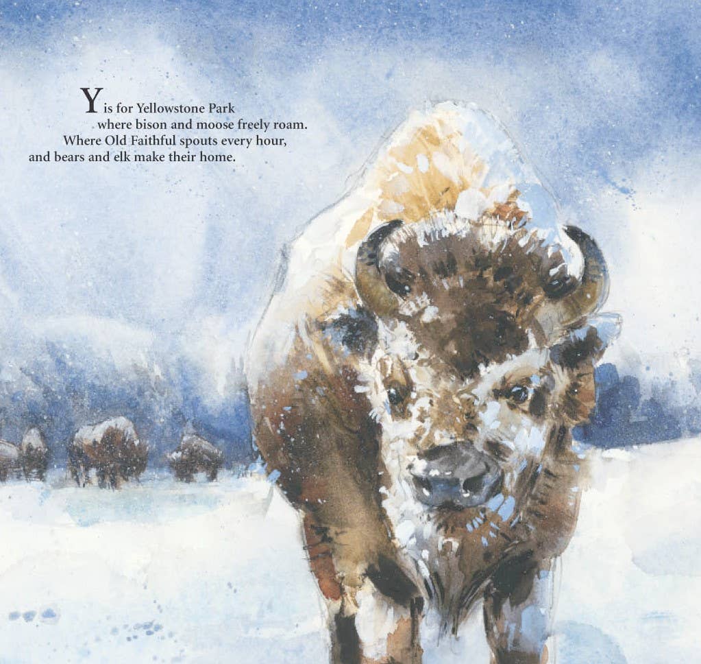 Sleeping Bear Press - Wholesale Book - Kids - S is for S'mores: A Camping Alphabet Picture Book5