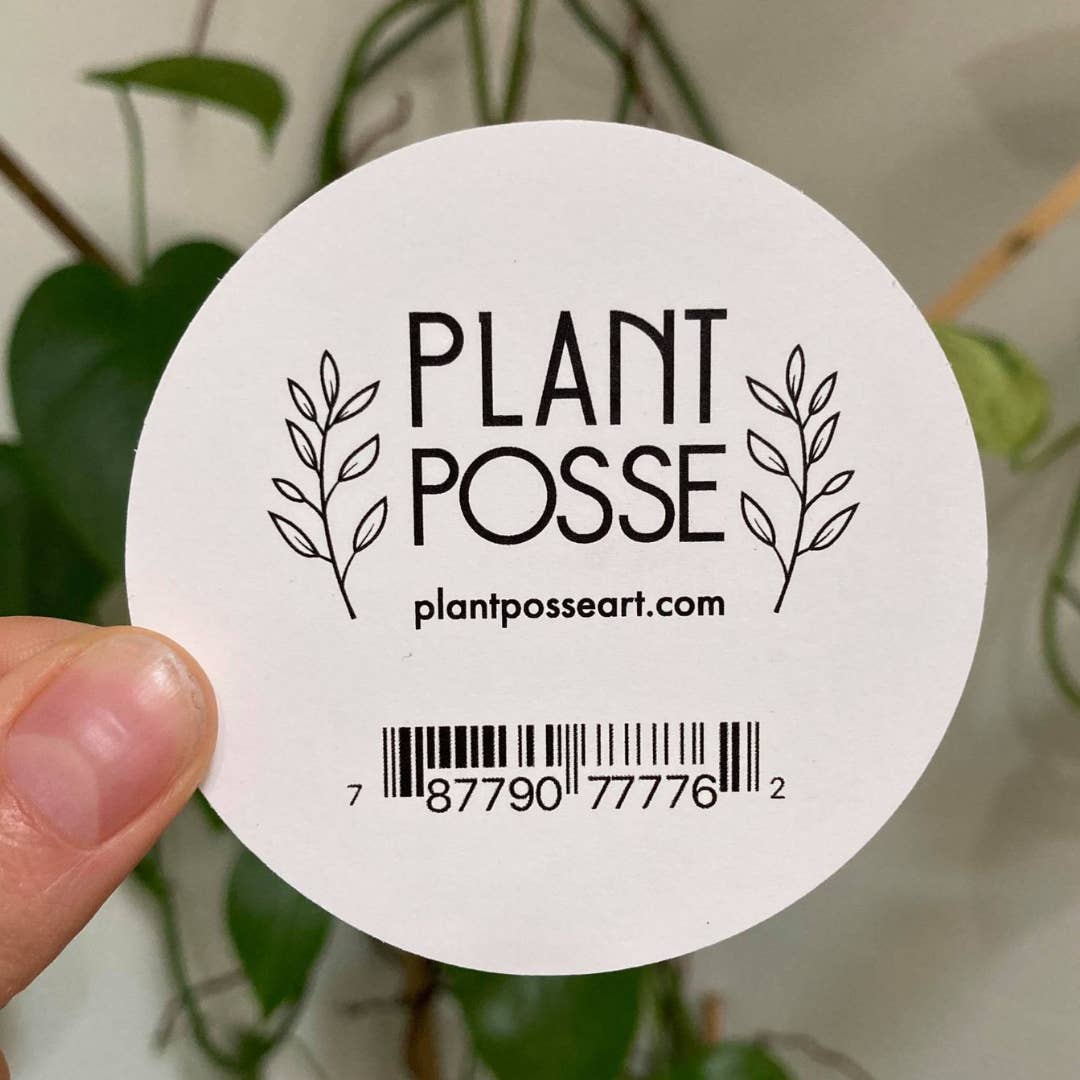 Plant Posse - Wholesale Sticker - Snail Sticker4