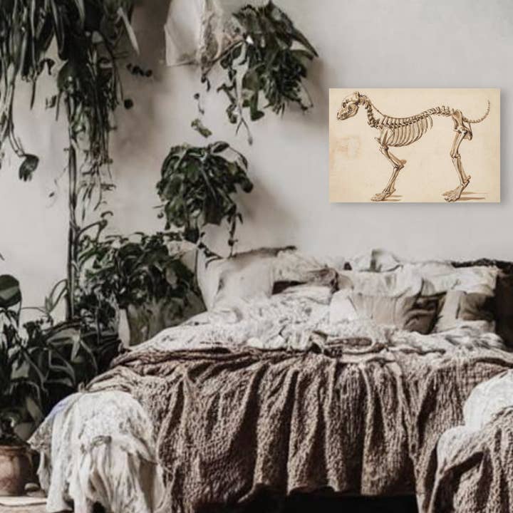 Print Pothecary - Wholesale Art Print - Dog Skeleton Canvas Print - Apothecary Art for Home or Office - Apothecary Decor2