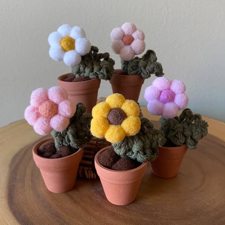 Pompom, feutre et macramé fleur en fibre éternelle - Mini pour la vente par ForgetBKnot