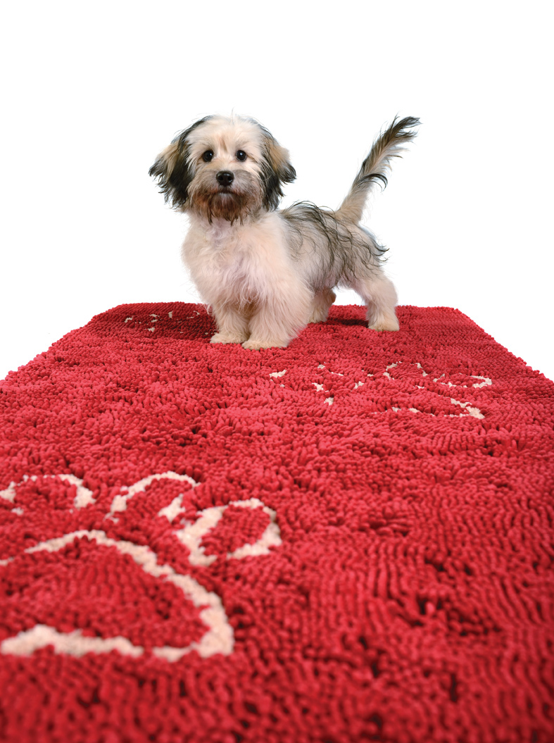Dog Gone Smart - Wholesale Door Mat - Dirty Dog Doormat Runners11