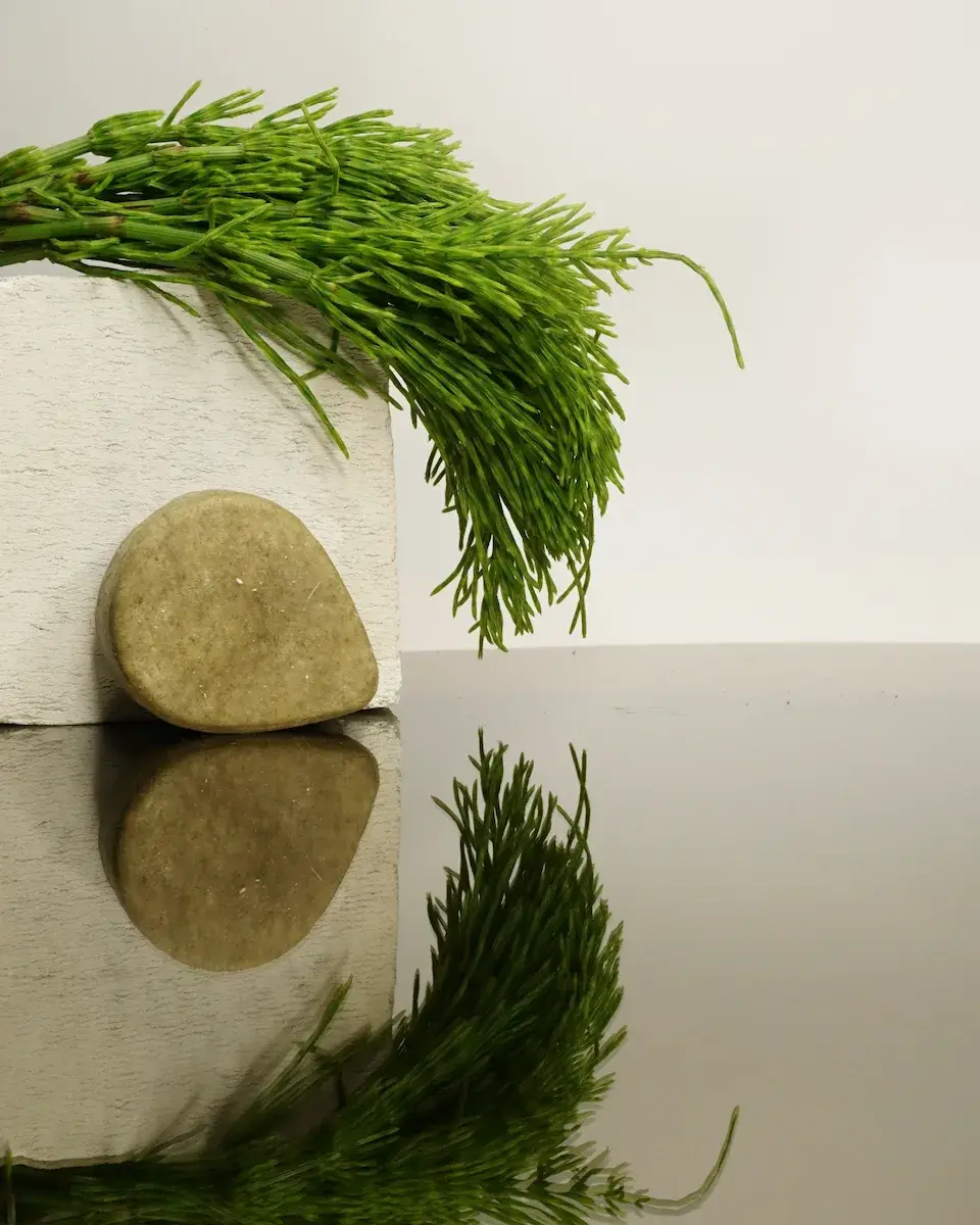 Nature Bar - Wholesale Shampoo Puck/Solid Shampoo - Shampoo Bar Balance & cleanse 2