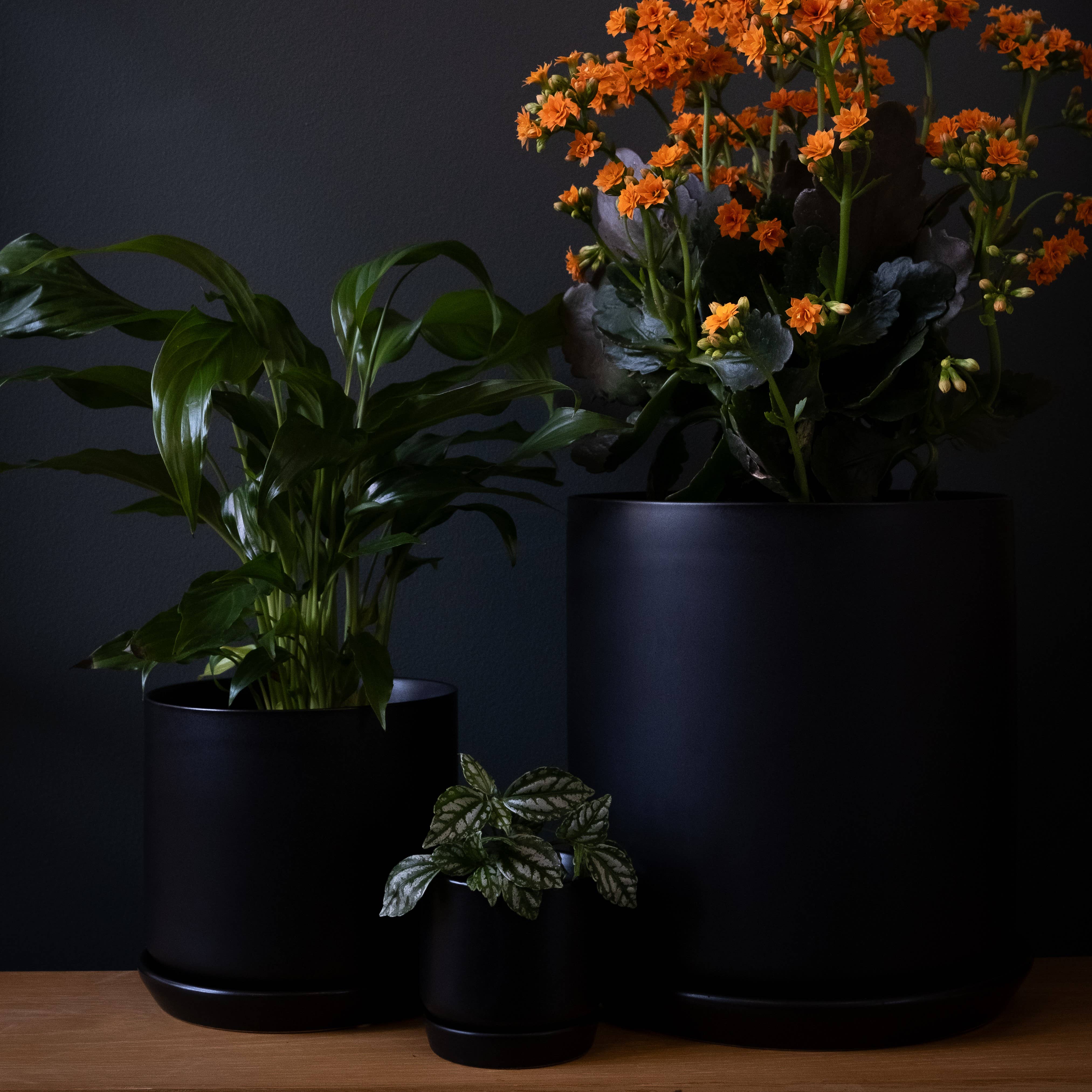 Potted - Wholesale Plant pot - Small Oslo Planter Jet Black2