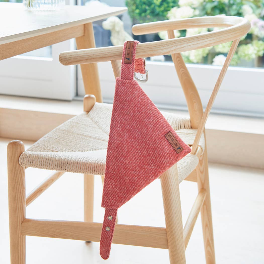 Sweet William Designs - Wholesale Hondenbandana - Hond - Bandana - Orange Tweed1