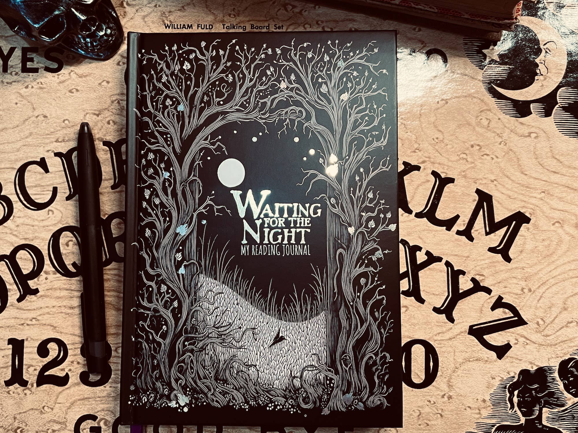 Conquest Journals - Wholesale Journal/Diary - Waiting for the Night Reading Journal19