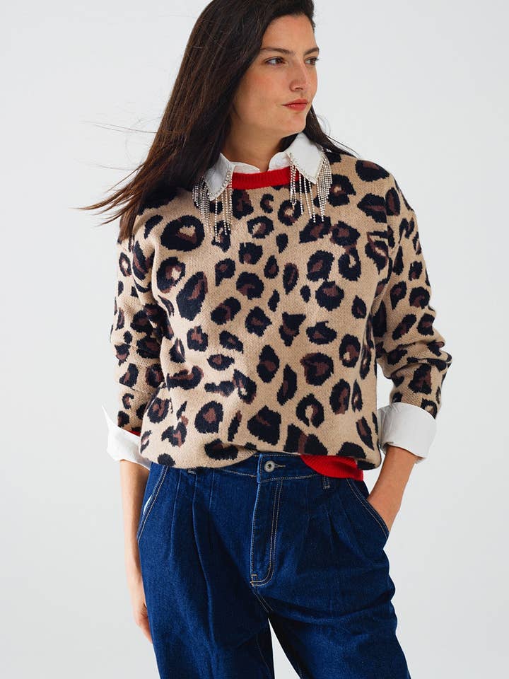 Brown Leopard sweater with red detail on the neck and sleeves for wholesale on Faire